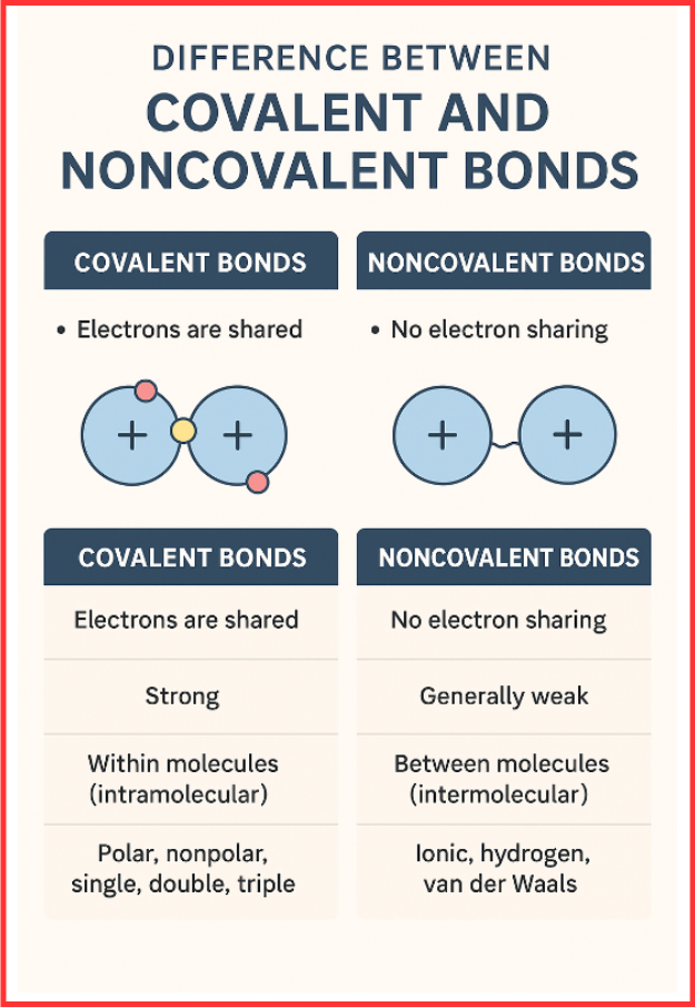 Difference Between Covalent and Noncovalent Bonds