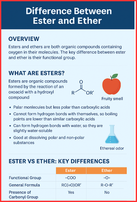 Difference Between Ester and Ether