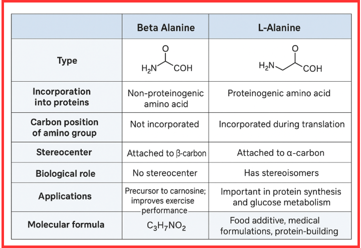 difference between beta alanine and L alanine
