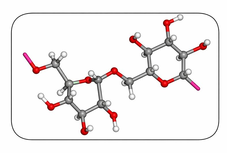 dextran molecular structure