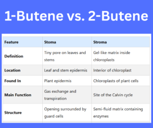 1-Butene vs. 2-Butene key differences explained