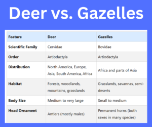 Deer vs. Gazelles key differences explained