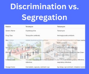 Discrimination vs. Segregation explained