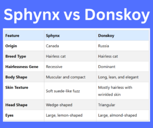 Sphynx vs Donskoy cat explained