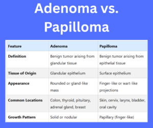 Adenoma vs. Papilloma key differences explained