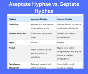 Aseptate Hyphae vs. Septate Hyphae key differences explained