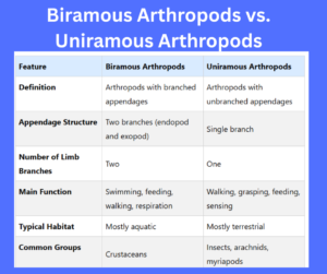 Biramous Arthropods vs. Uniramous Arthropods key differences explained