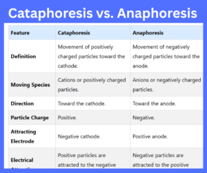 Cataphoresis vs. Anaphoresis key differences explained