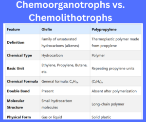 Chemoorganotrophs vs. Chemolithotrophs key differences explained