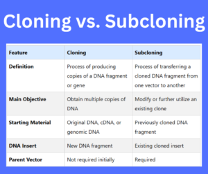 Cloning vs. Subcloning key differences explained