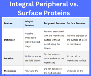 Integral Peripheral vs. Surface Proteins key differences explained