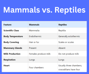 Mammals vs. Reptiles key differences explained